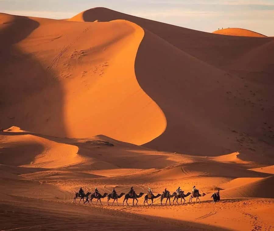 Marrakech: 3-day Exclusive Desert Luxury Tour; Quad & Camels - Todgha Gorge brings a change of scenery