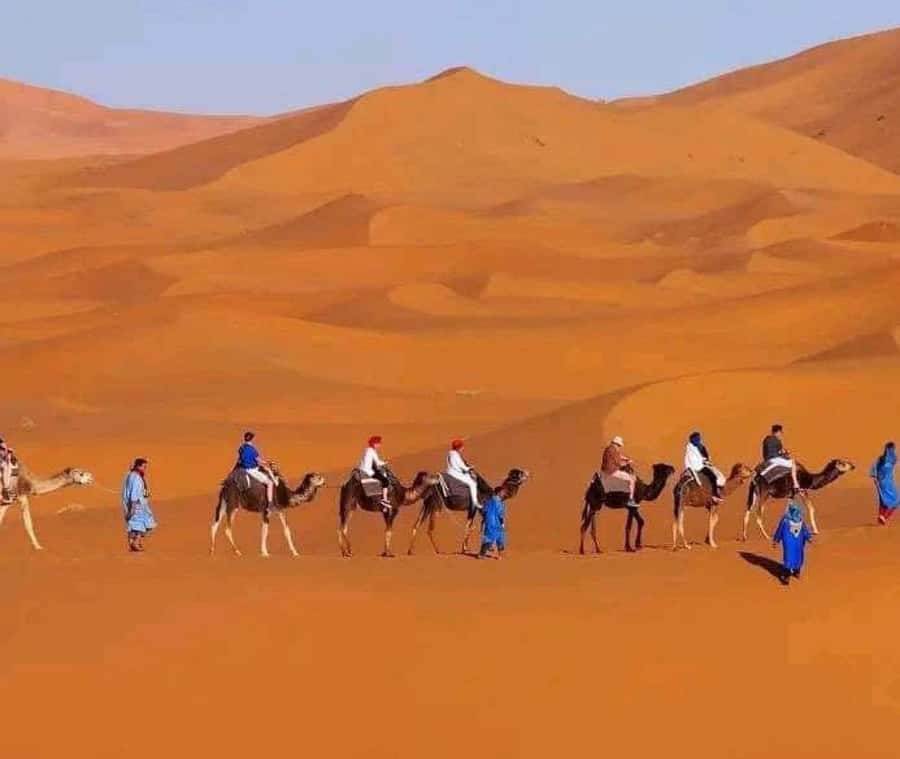 Marrakech: 3-day Exclusive Desert Luxury Tour; Quad & Camels - Sunrise, sand-boarding, and the long return