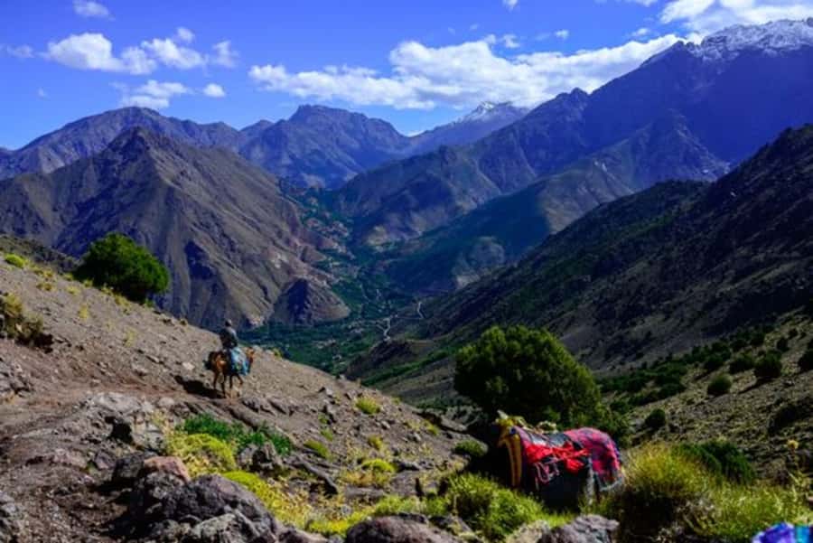 Marrakech: 3-Day High Atlas Mountains and Three Valleys Trek - Who should book this trek