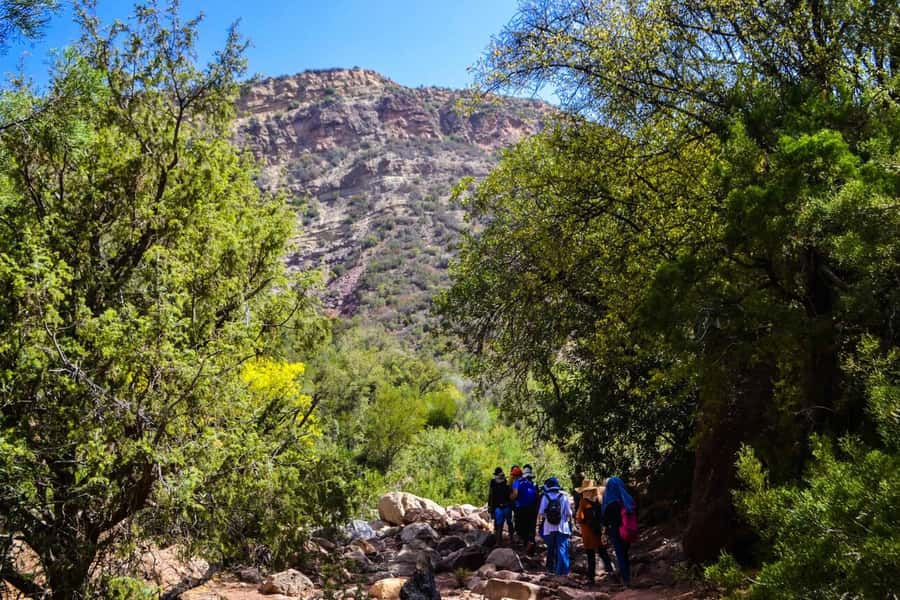 Marrakech: 3-Day High Atlas Mountains and Three Valleys Trek - The food is a major part of the experience