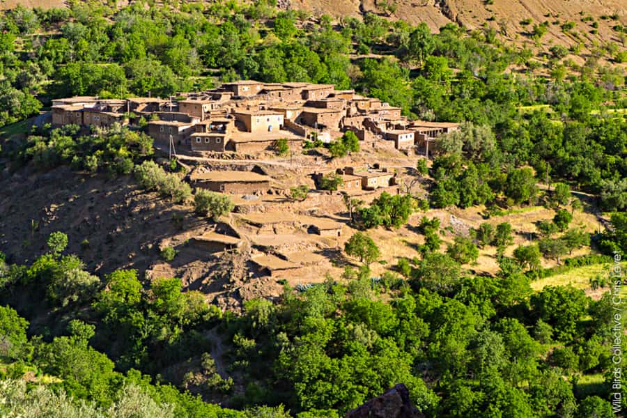 Marrakech: 3-Day High Atlas Mountains and Three Valleys Trek - Day one: Imlil to Tachdirt over Tizi n’Tamterte