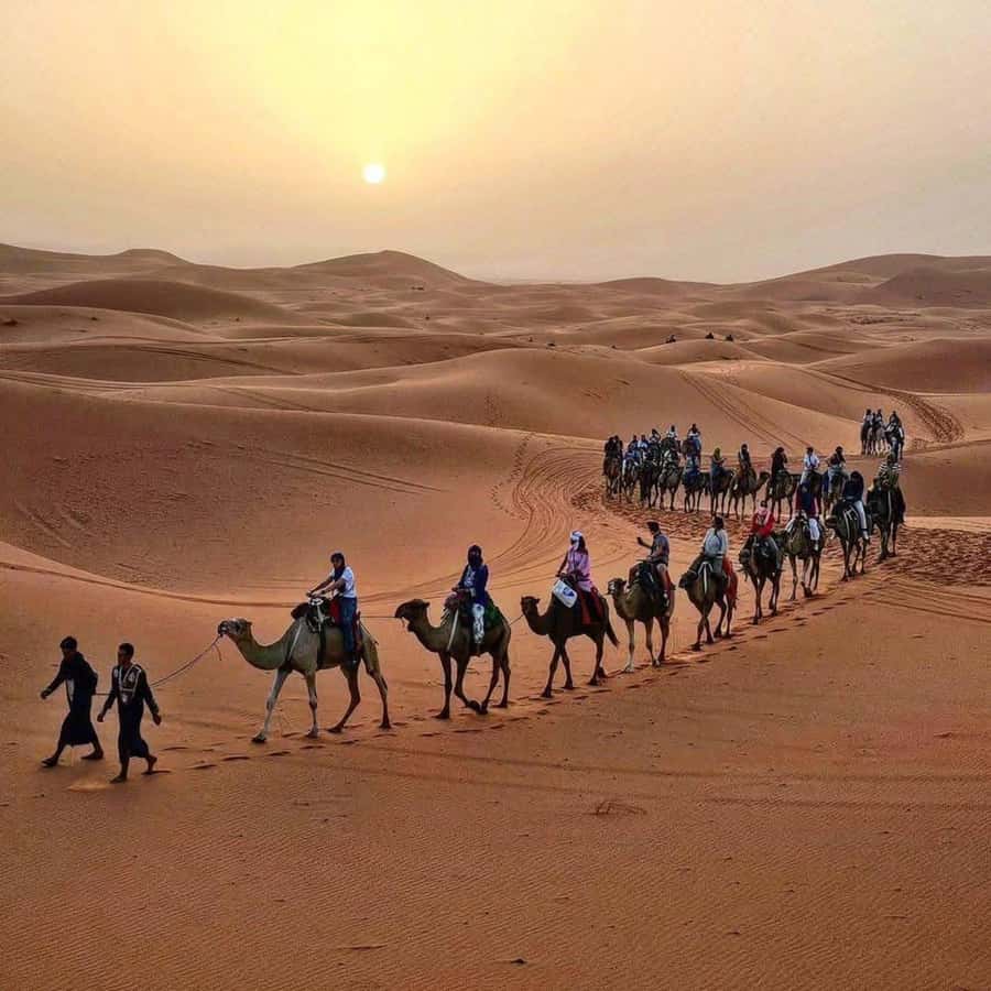 Marrakech: 3-Day Luxurious Desert Tour to Fes via Merzouga. - Key points to know before booking