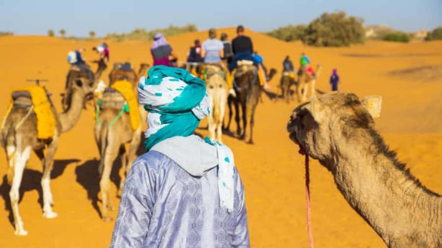 Marrakech: 3-Day Luxurious Desert Tour to Fes via Merzouga. - Guides, transport, and the human side of the trip