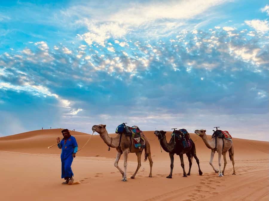 Marrakech: 3-Day Merzouga Desert Tour Camel & Sandboarding - Walking through Todra Gorges on Day 2