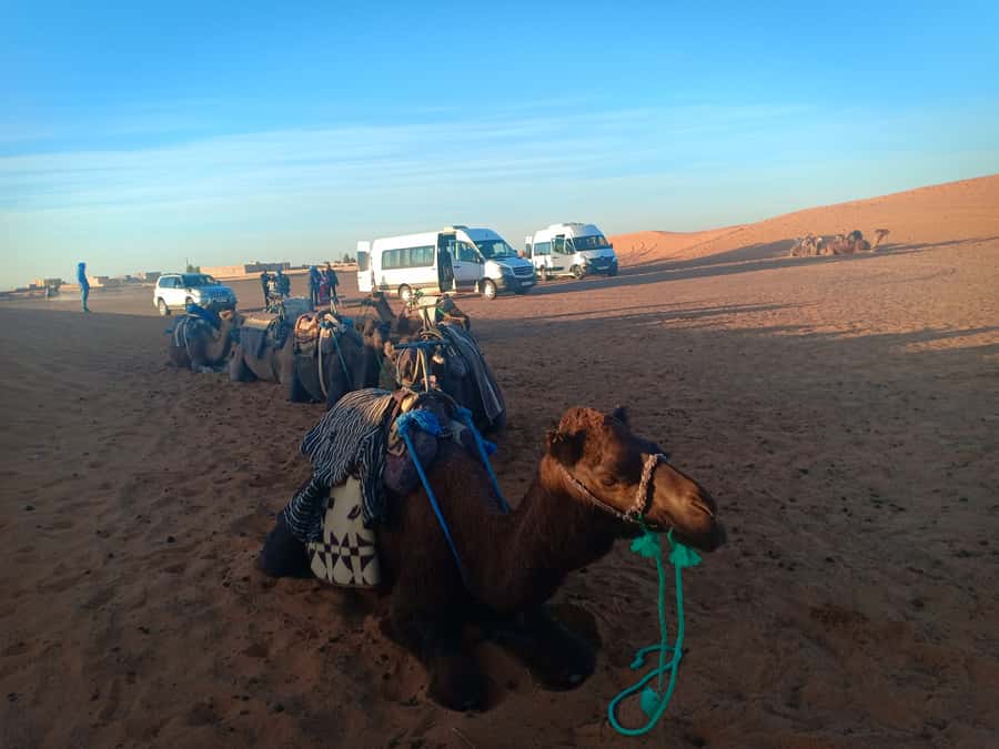 Marrakech: 3-Day Merzouga Sahara Desert Tour with Quad Ride - Camel riding into the Erg Chebbi dunes