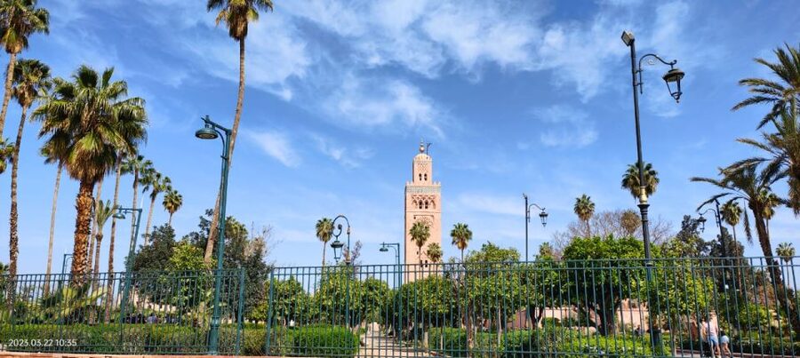 Marrakech 3-Hour Walking Tour - What the $82 price really buys