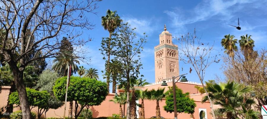 Marrakech 3-Hour Walking Tour - Bahia Palace and the cost of entering