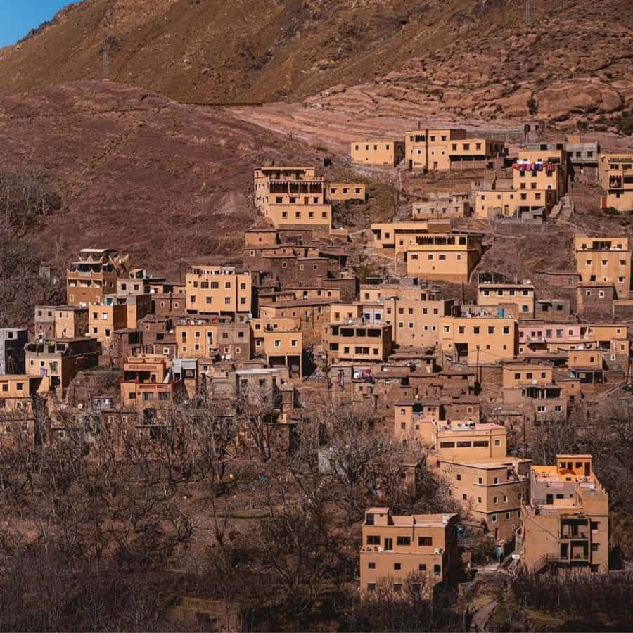 Marrakech 3 Valleys Private Tour, Waterfalls and Mountains - Why the private format matters