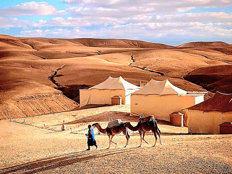 Marrakech Adventure: Agafay Desert Quad, Camel, Lunch - Learning the Quads Before the Fast Part