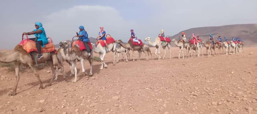 Marrakech Adventure: Agafay Desert Quad, Camel, Lunch - Pool Time After the Dust