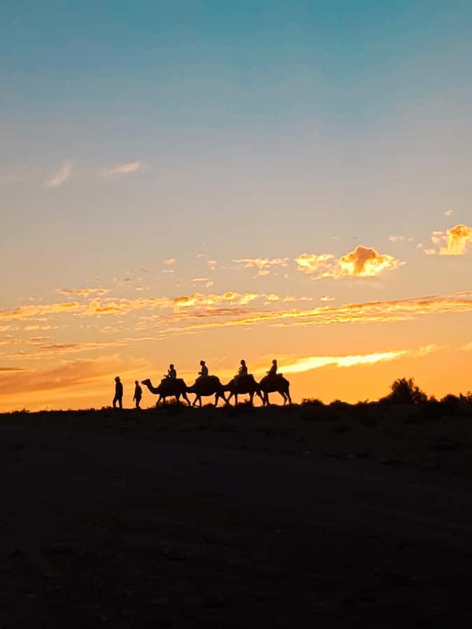 Marrakech: Agafay Camel Ride & Dinner with Fire Show Tour - Key points at a glance