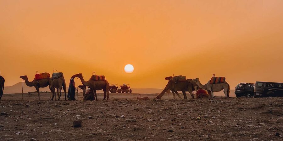 Marrakech: Agafay Camel Ride & Dinner with Fire Show Tour - Guides make a practical difference