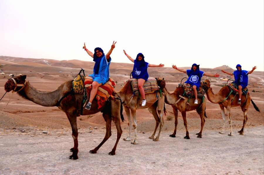 Marrakech: Agafay Desert Buggy Tour with Transfer - Guides, Communication, and Pickup Checks
