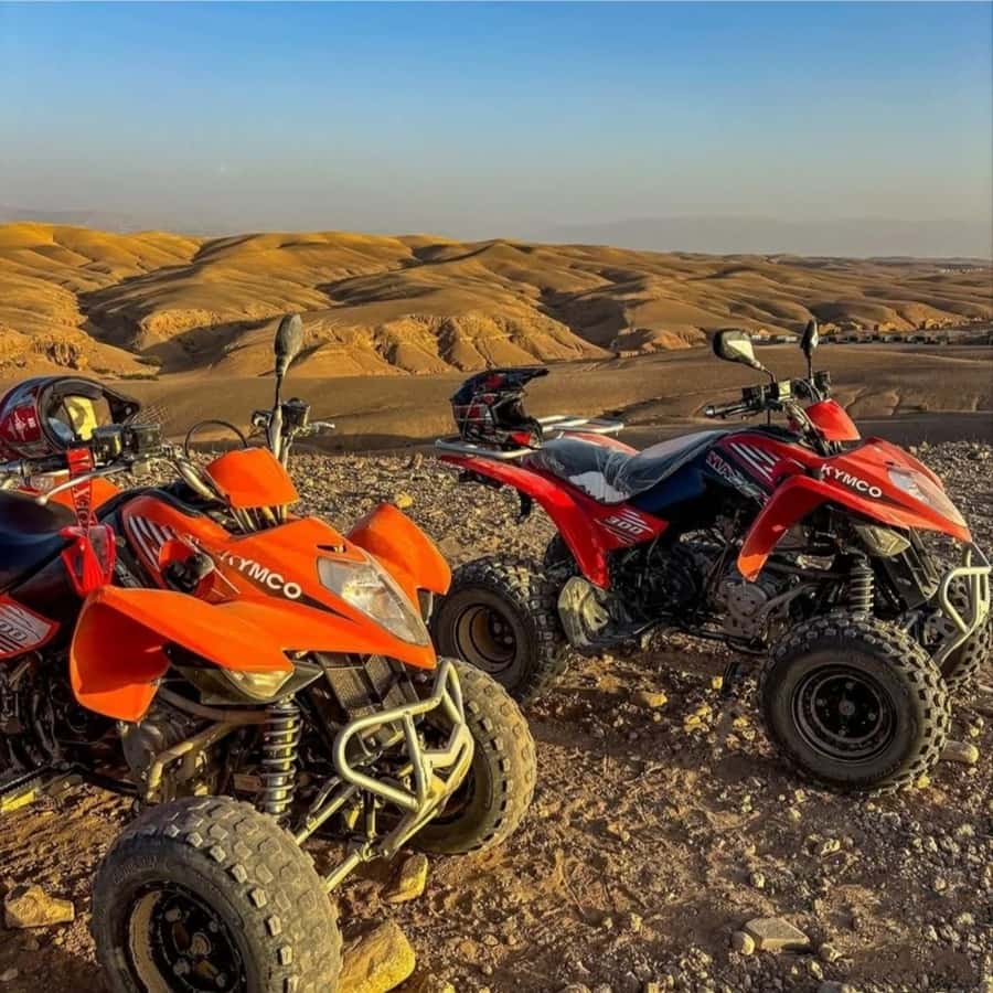Marrakech: Agafay Desert Camel, Quad Bike & Dinner Show - A short camel ride at sunset