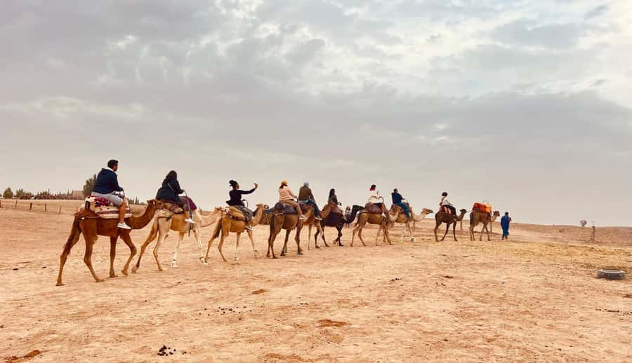 Marrakech: Agafay Desert Camel Ride, Dinner, Fire Show - A seasonal swim in the desert