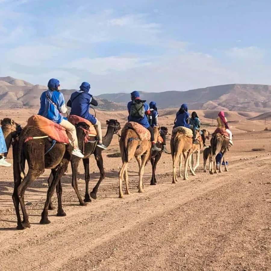 Marrakech: Agafay Desert Camel Ride & Quad with Dinner Show - Amazigh music, dancing, and the fire show