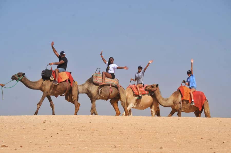 Marrakech Agafay desert: Camel Ride, Sunset, Dinner show - Key points to know before booking