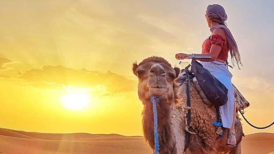 Marrakech Agafay desert: Camel Ride, Sunset, Dinner show - A camp lit by lanterns and fire