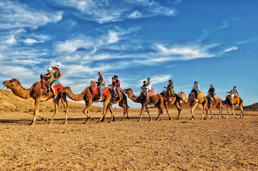 Marrakech Agafay desert: Camel Ride, Sunset, Dinner show - Moroccan dinner under the stars