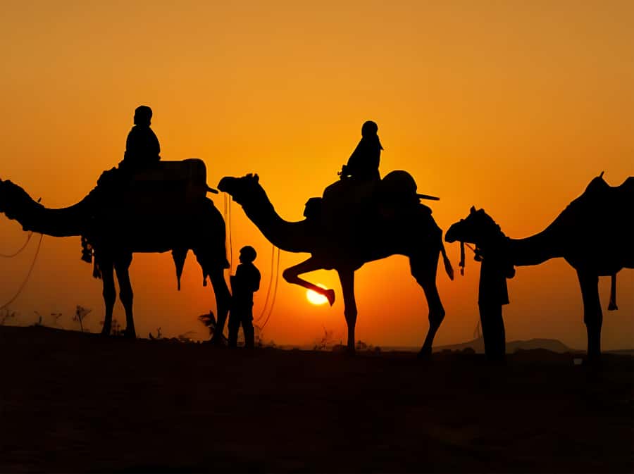 Marrakech: Agafay Desert Camel Ride with Dinner & Show - Sunset, dinner, and the open-air camp