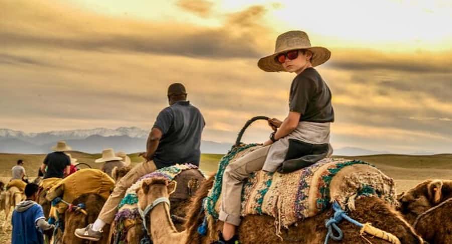 Marrakech: Agafay desert camel ride with dinner & spectacle - A 20-minute camel ride through rocky desert