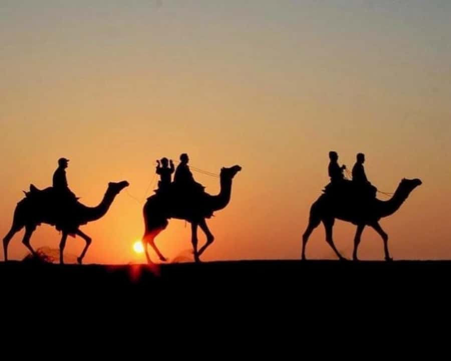 Marrakech: Agafay Desert Camel Rides, Dinner and Fire Show - The argan oil cooperative adds more than a photo stop