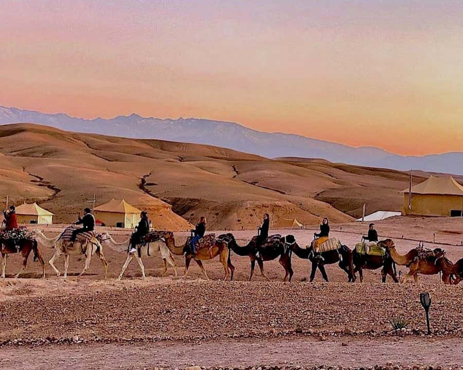 Marrakech: Agafay Desert Camel Rides, Dinner and Fire Show - The guide can make or break a tightly packed evening