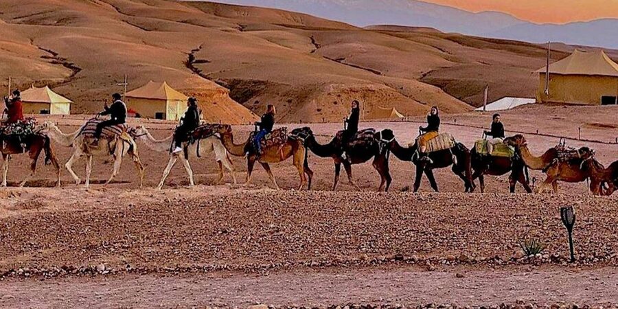Marrakech: Agafay Desert Camel Rides, Dinner and Fire Show - How the $33 price holds up
