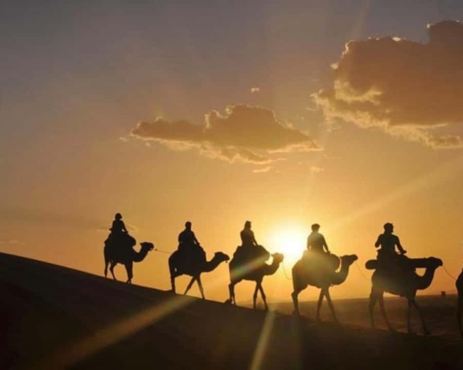 Marrakech: Agafay Desert Camel Rides, Dinner and Fire Show - Who should book this Agafay evening