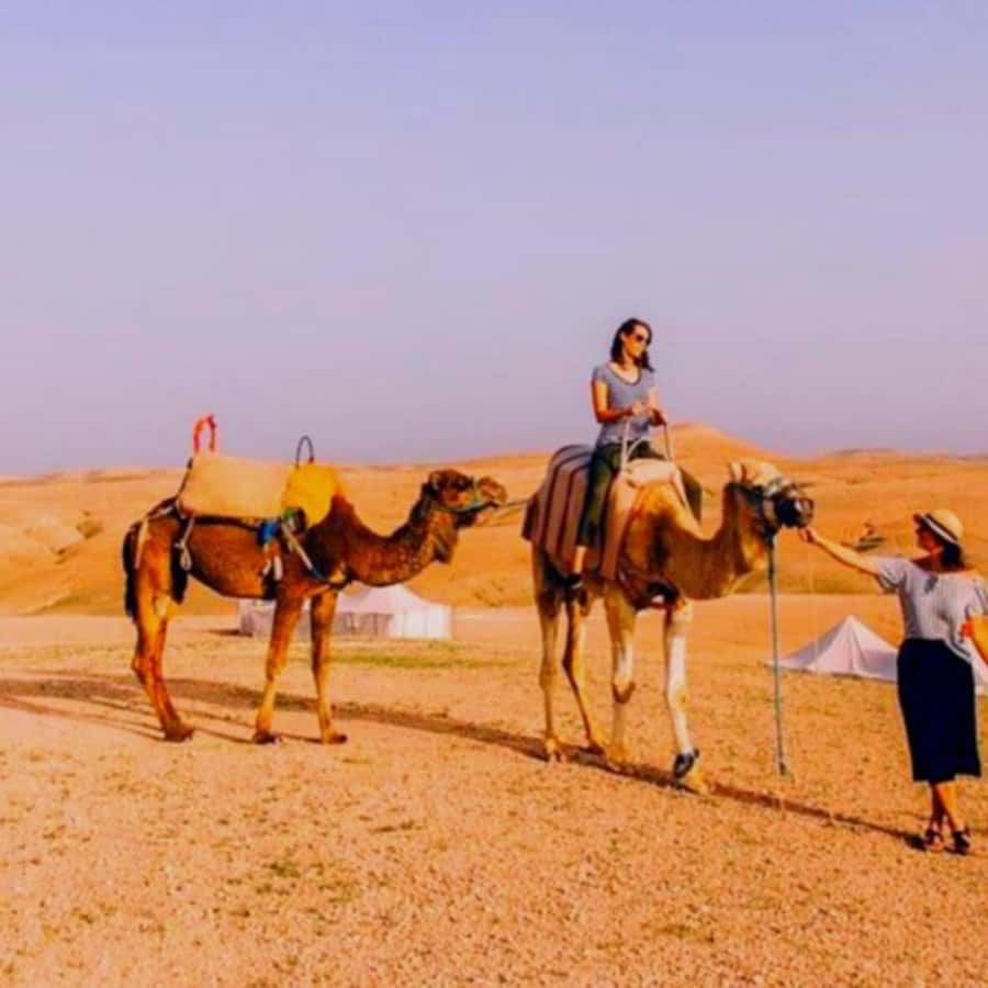 Marrakech: Agafay Desert Camp Lunch with Camel Ride and Pool - Guides, vehicles, and group comfort