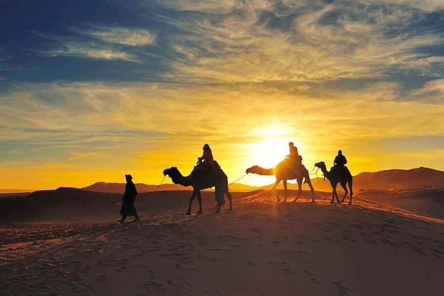Marrakech: Agafay Desert Dinner and Sunset Camel Ride Trip - The camel ride at sunset