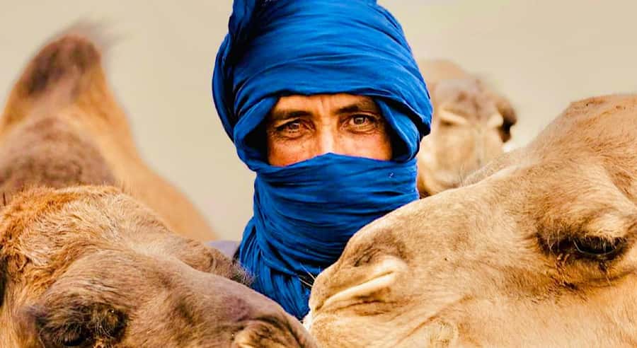 Marrakech: Agafay Desert Dinner, Camel Ride, & Show - A short camel ride with a sunset payoff