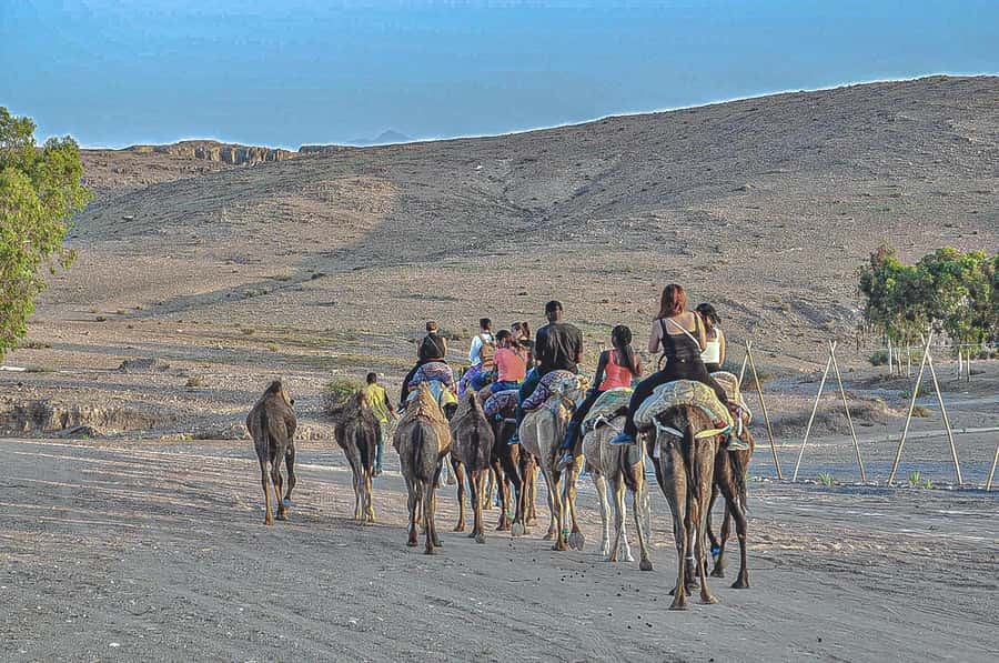 Marrakech: Agafay Desert Dinner, Camel Ride, & Show - Guides who shape the evening