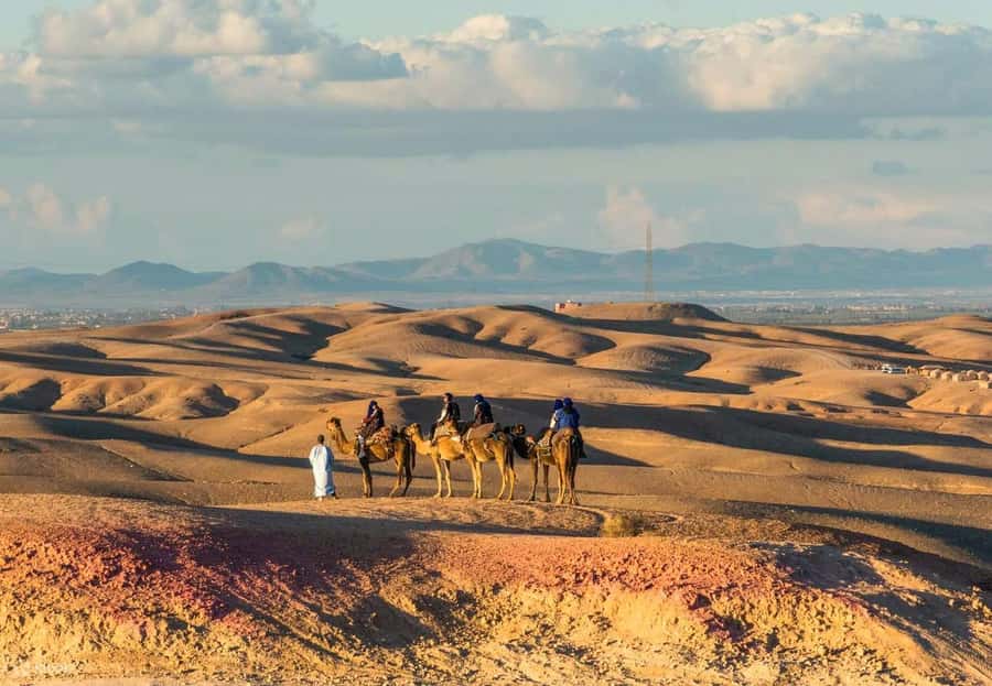 Marrakech: Agafay Desert Dinner Show with Quad Bike & Camel - The 15-minute camel ride is short and gentle