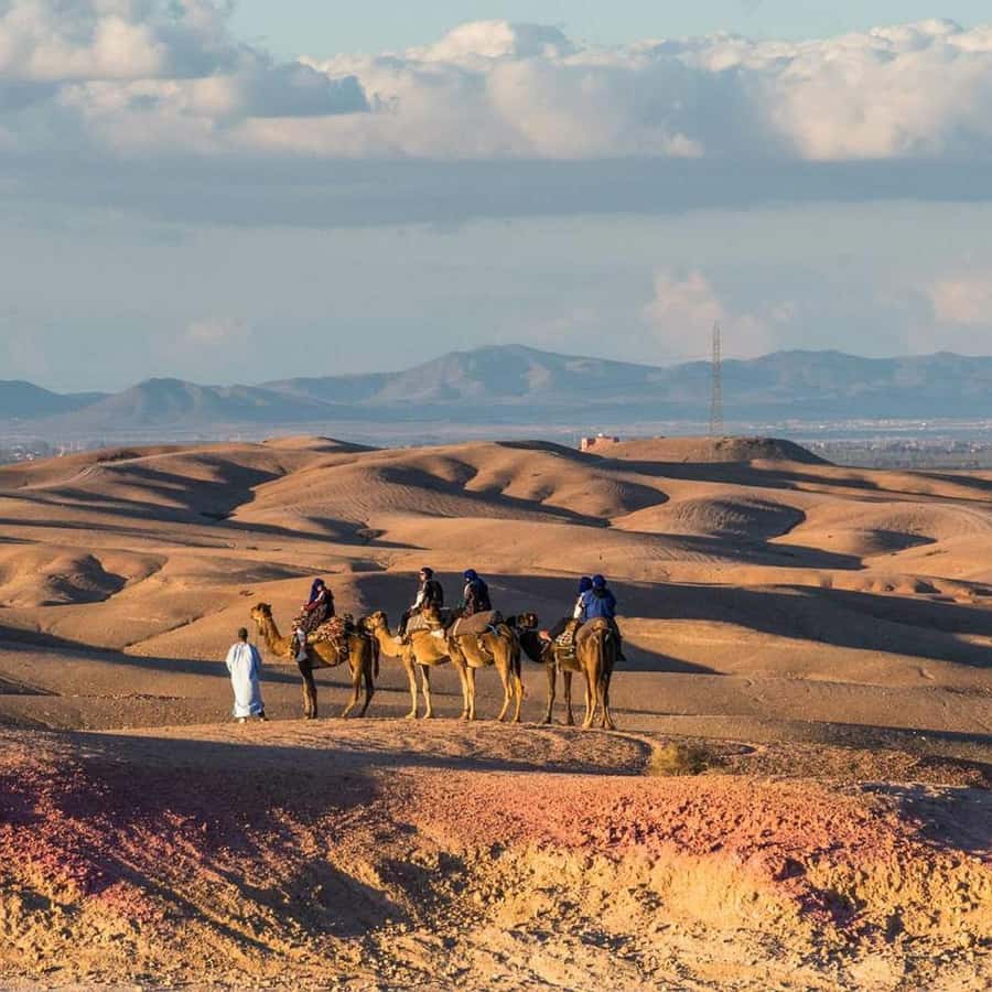 Marrakech: Agafay Desert Dinner Show with Sunset Camel Ride - Harira, tagine, tea, and pastries under the stars