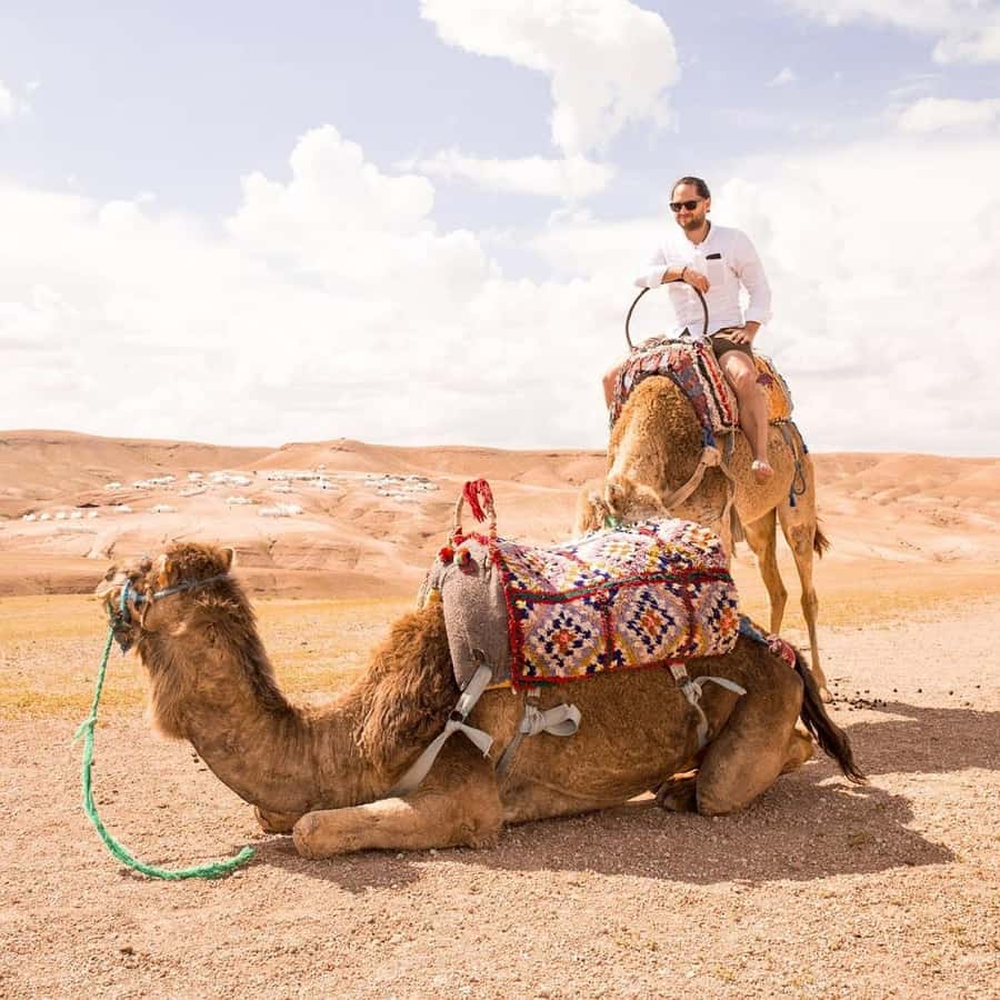 Marrakech: Agafay Desert Dinner with Music and Fire Show - Key points to know before booking