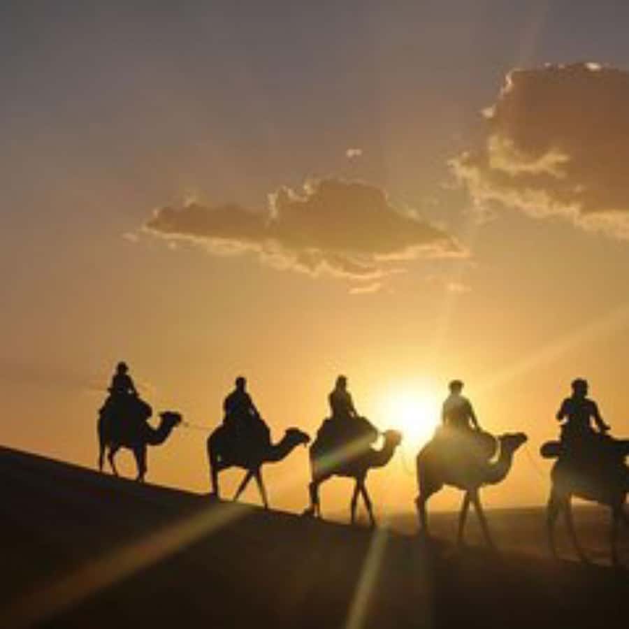 Marrakech: Agafay Desert Dinner with Music and Fire Show - What the guides add to the evening