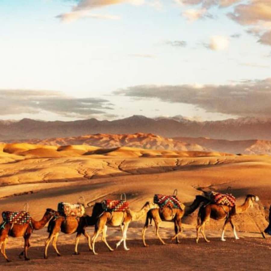 Marrakech: Agafay Desert Dinner with Music and Fire Show - Mint tea and the Moroccan welcome