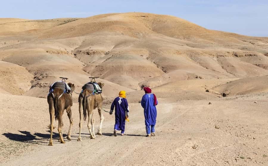Marrakech: Agafay Desert, Lunch, Camel Ride, & Swimming Pool - Timing, comfort, and practical planning