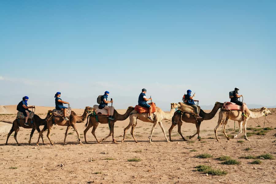 Marrakech: Agafay Desert Pool, Dinner & Live Show Experience - Timing, comfort, and what to bring