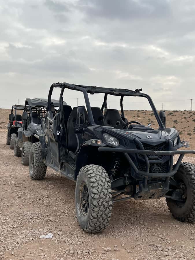 Marrakech: Agafay Desert Quad Bike & Camel Ride with Dinner - Who will enjoy this most?