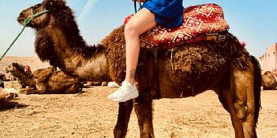 Marrakech: Agafay Desert Quad Biking with Dinner & Show - Who should book this Agafay evening?