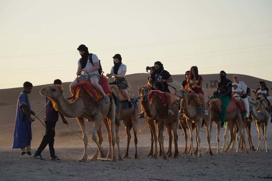 Marrakech: Agafay Desert Quad, Camel or Pool Day with Lunch - Guides, language, and the human side
