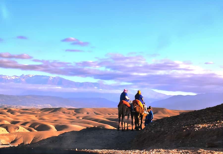 Marrakech: Agafay Desert Quad, Camel or Pool Day with Lunch - Mint tea, pools, and a long desert pause
