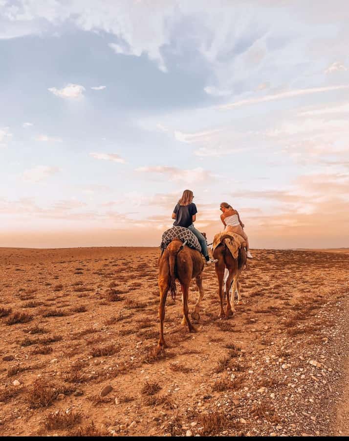 Marrakech: Agafay Desert Quad, Camel Ride & Dinner Show - Sunset, dinner, and the desert camp