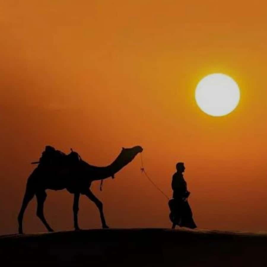 Marrakech: Agafay Desert Quad & Camel Rides with Dinner Show - Key points at a glance