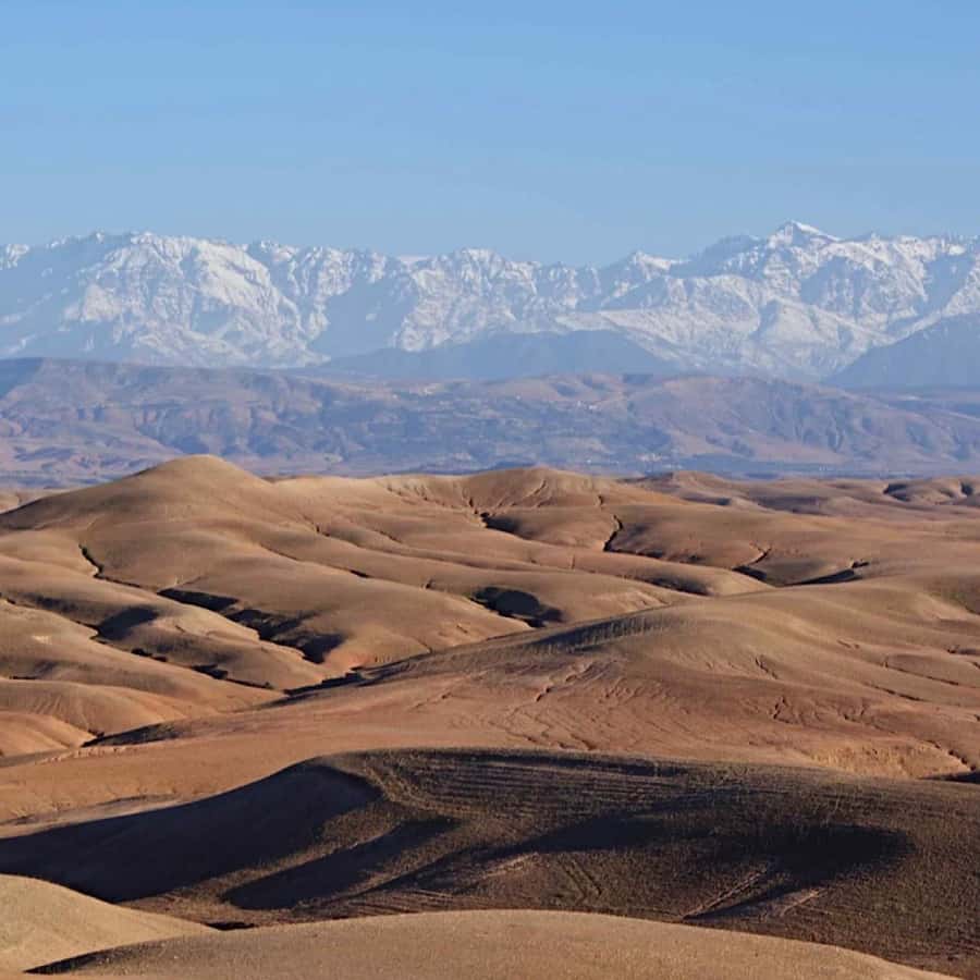 Marrakech: Agafay Desert Quad & Camel Rides with Dinner Show - The argan oil cooperative and Moroccan tea