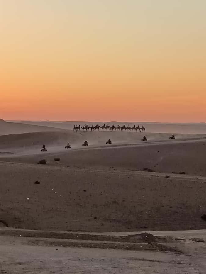Marrakech: Agafay Desert Quad & Camel Rides with Dinner Show - A short camel ride at sunset