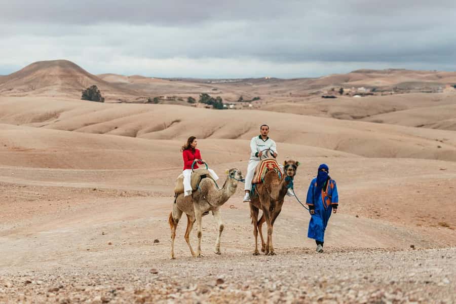 Marrakech: Agafay Desert Retreat, Tent, Dinner, Show & Pool - Who should book this Agafay night?