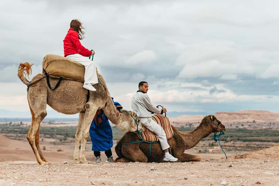 Marrakech: Agafay Desert Retreat, Tent, Dinner, Show & Pool - Moroccan dinner around the campfire